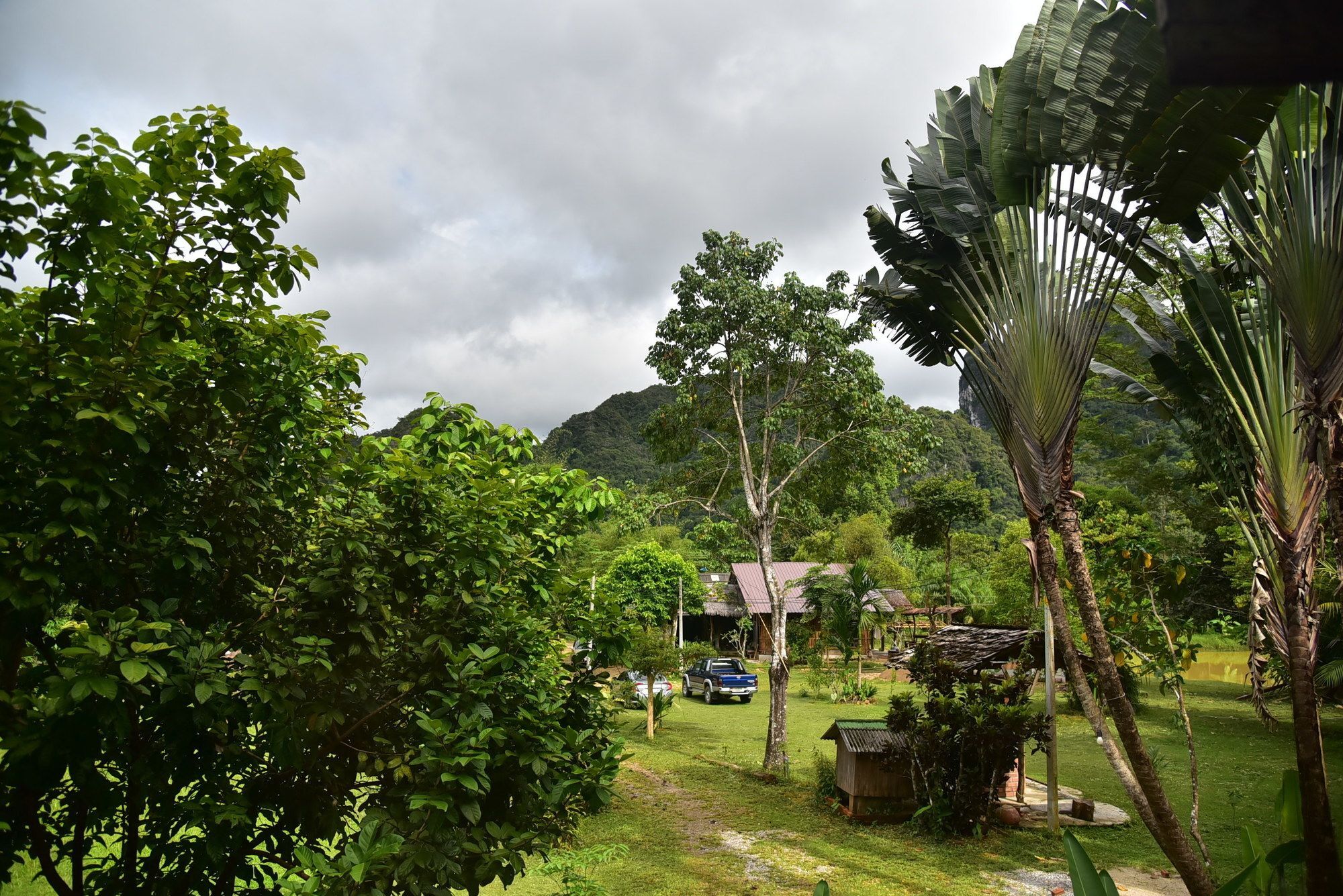 Guest house Khao Sok