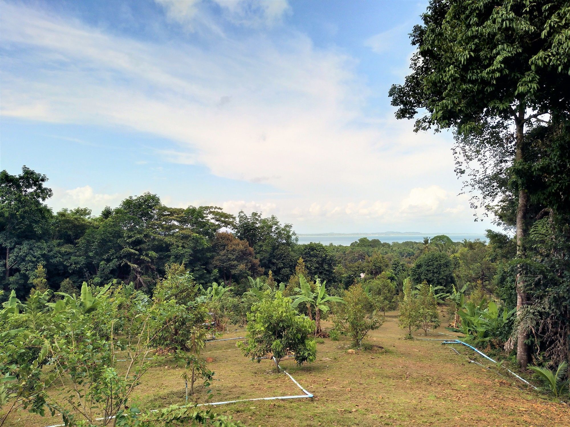 Somphoch Garden Guest house 3*
