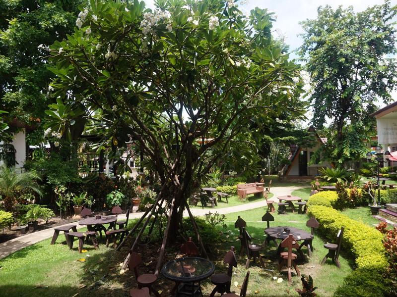 Resort The Park Nang Rong