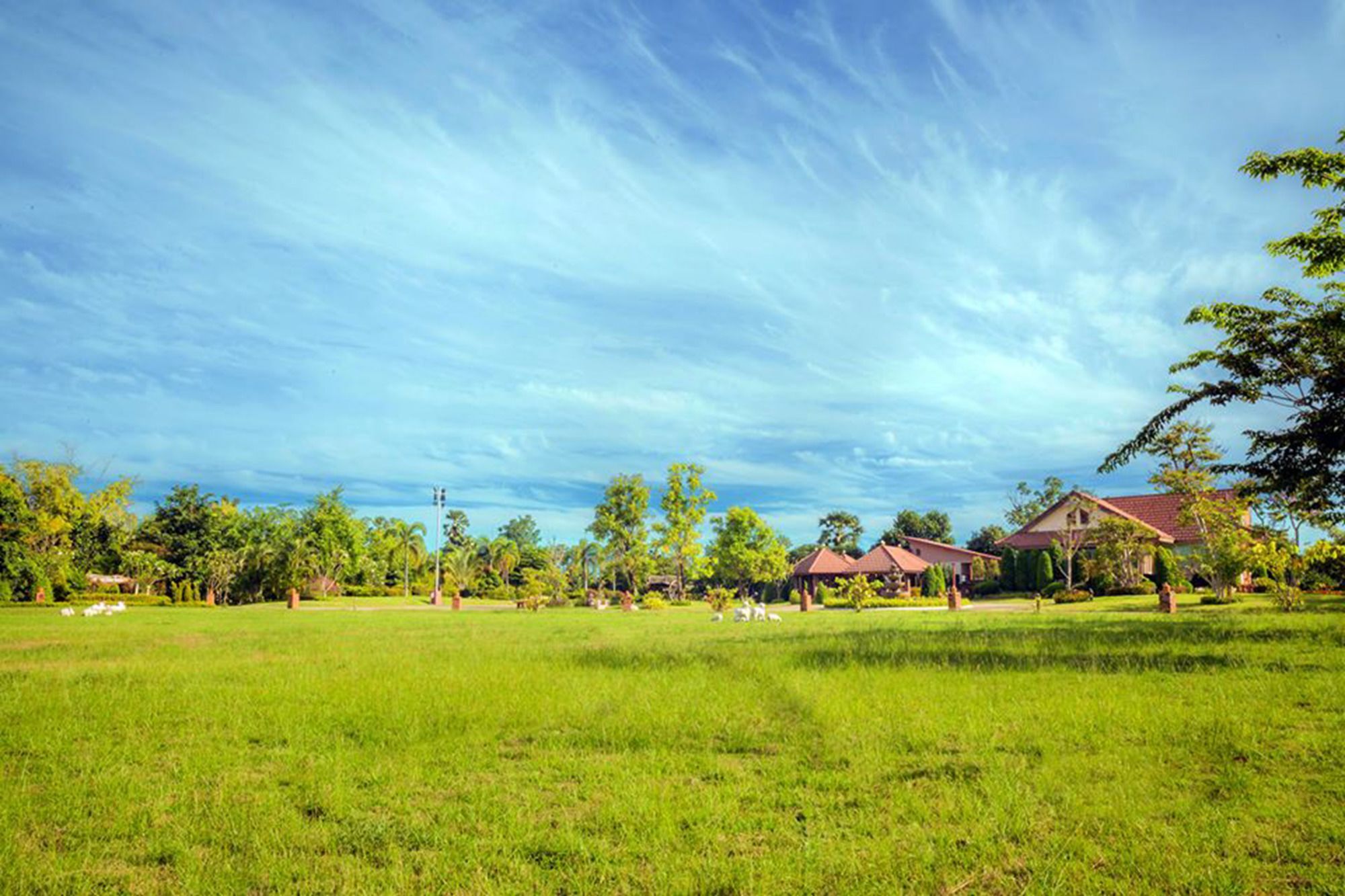 Thaisomboon Bighome