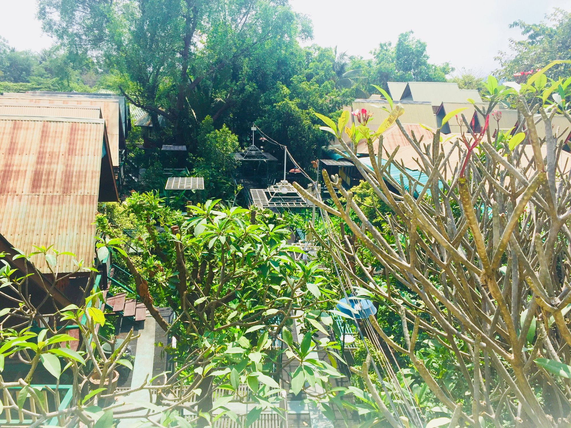 Sam's House