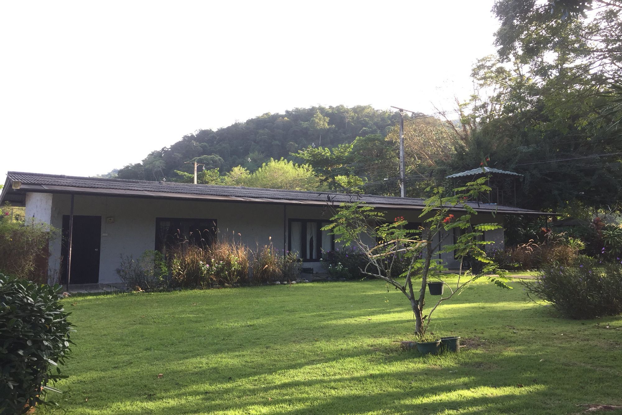 Apple Camp Khaoyai 2*