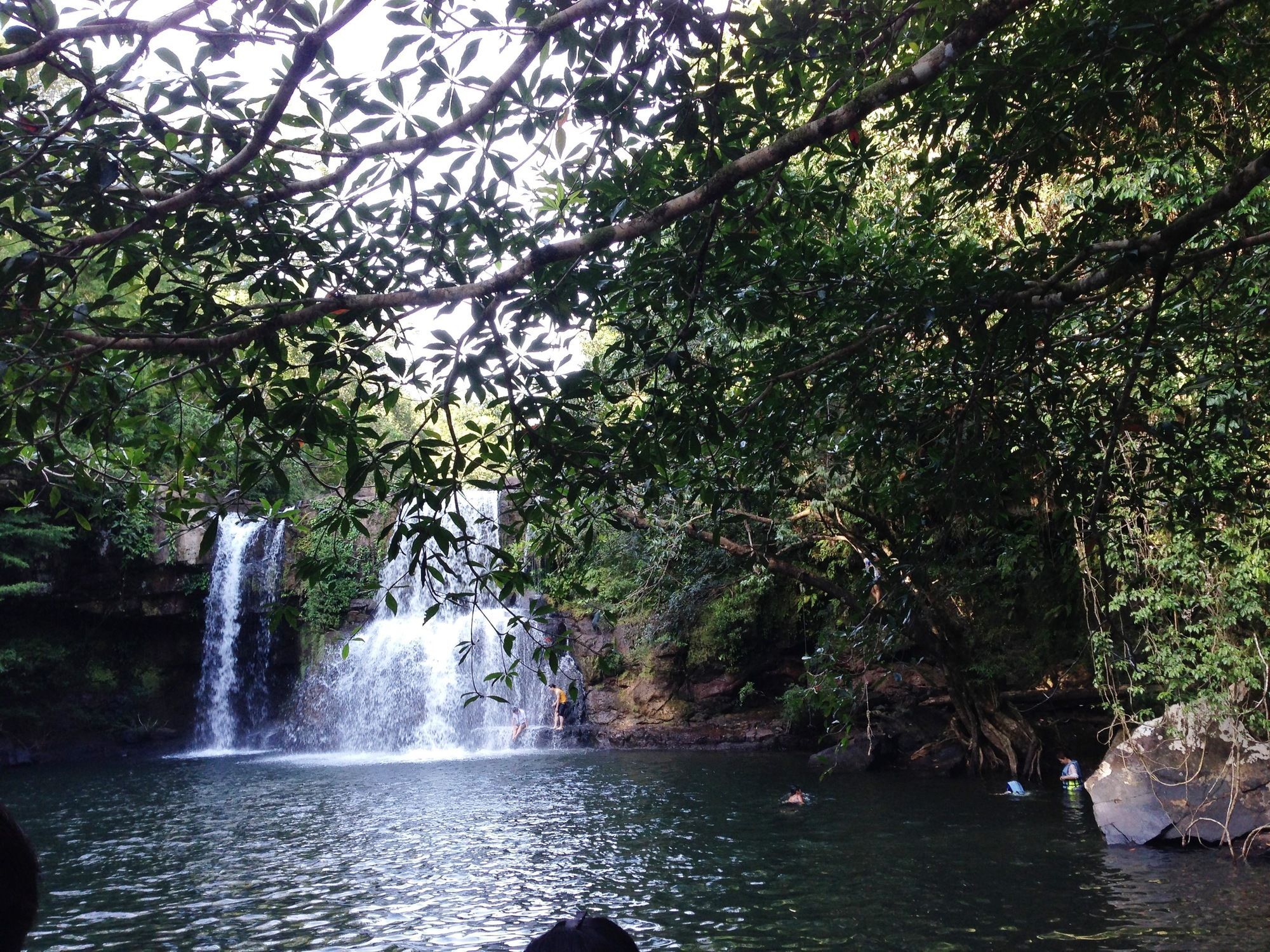 Jungle Koh Kood Ko Kut