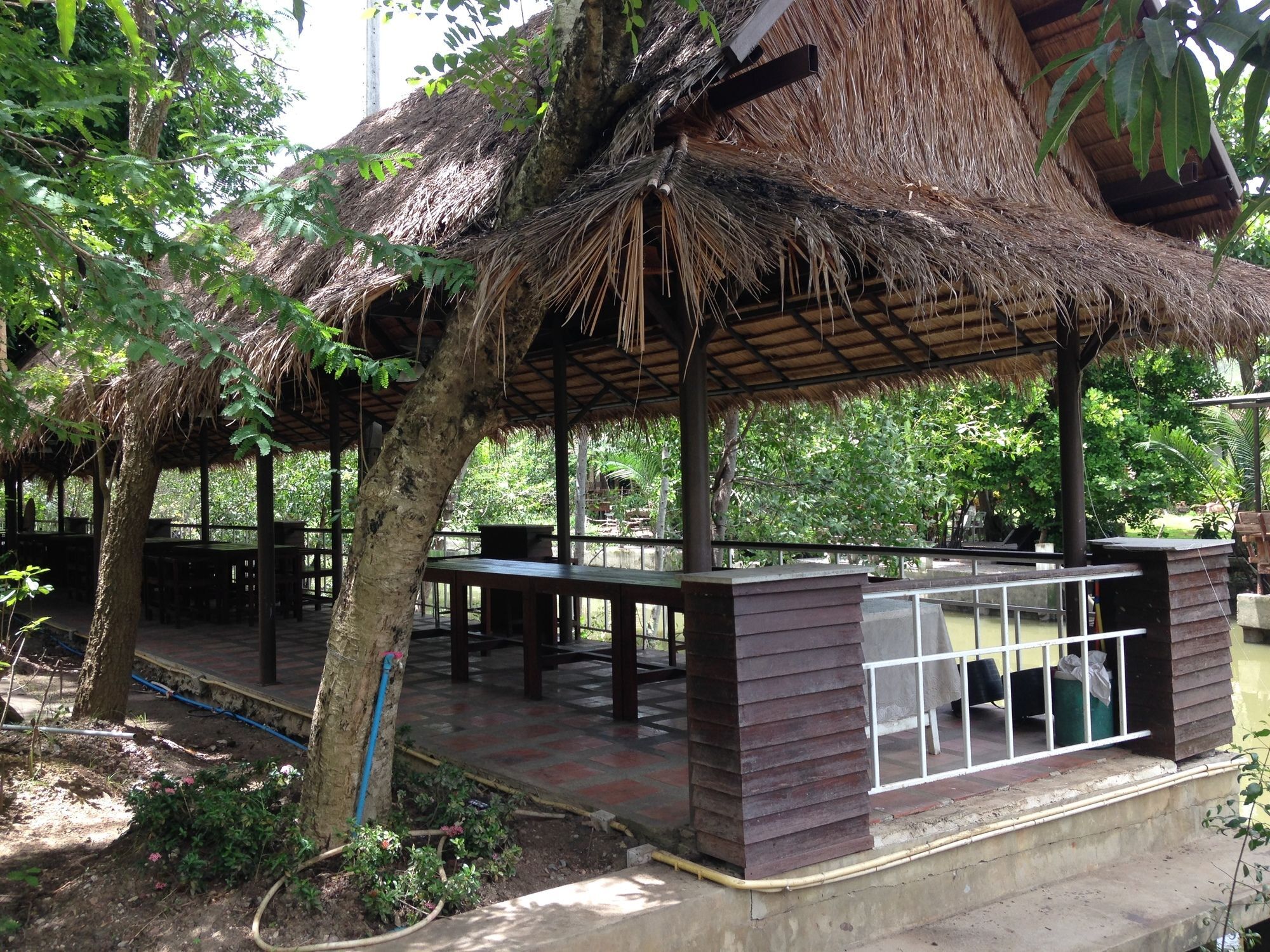 Young Coconut Garden Amphawa