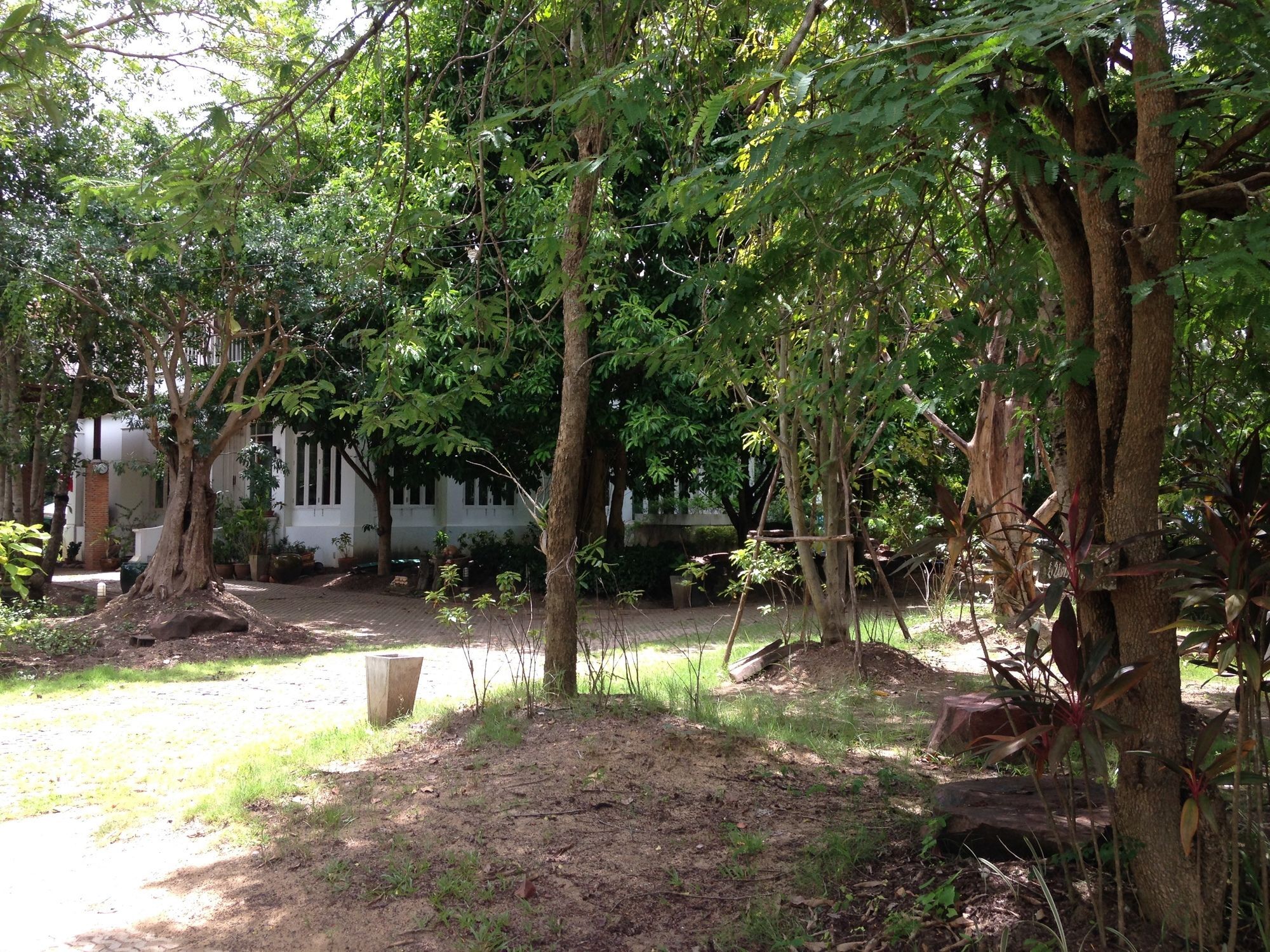 Resort Young Coconut Garden Amphawa