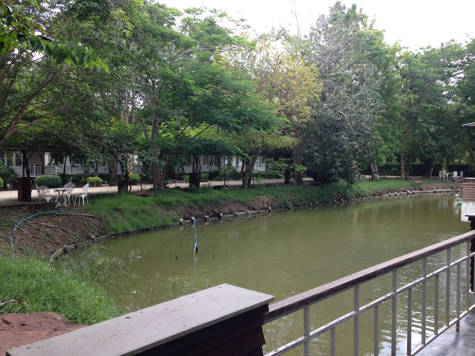 Young Coconut Garden 2* Amphawa