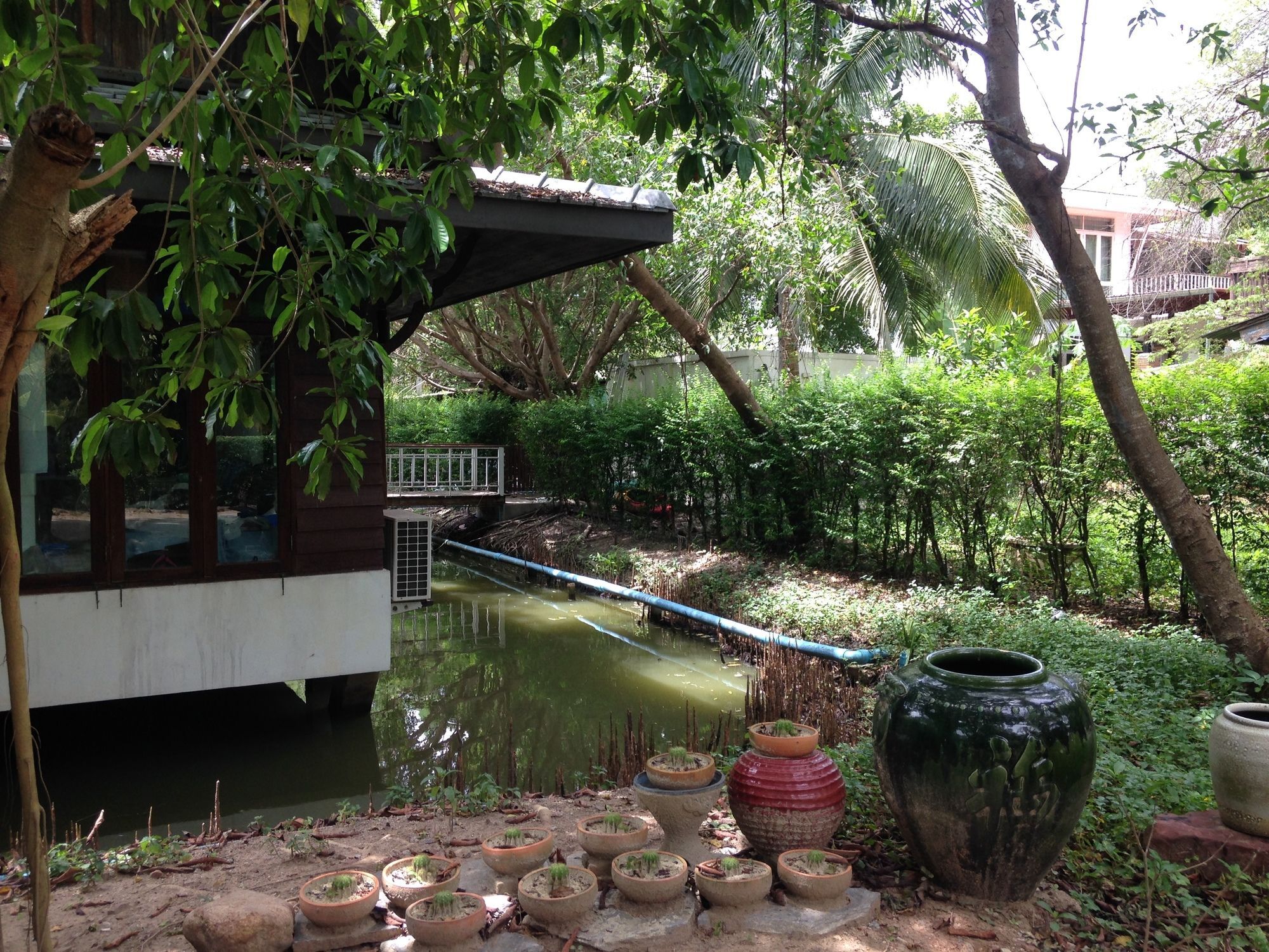 Young Coconut Garden Resort