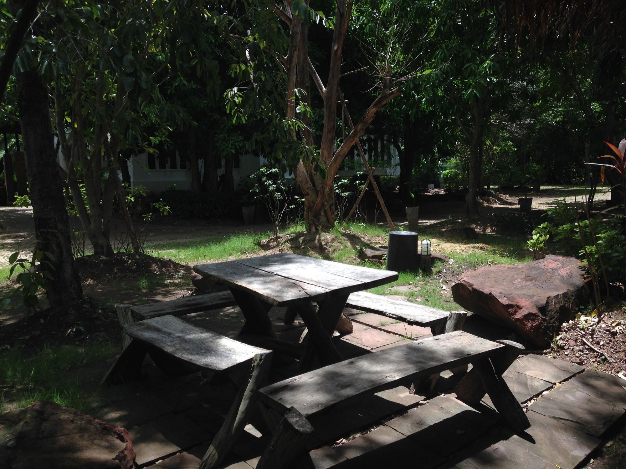 Young Coconut Garden Amphawa