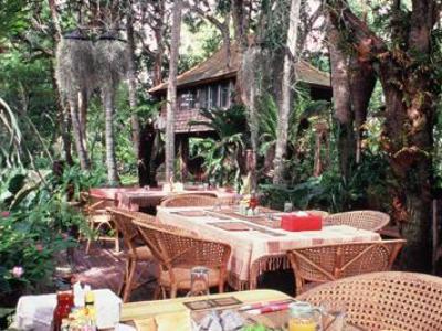 Fern Paradise