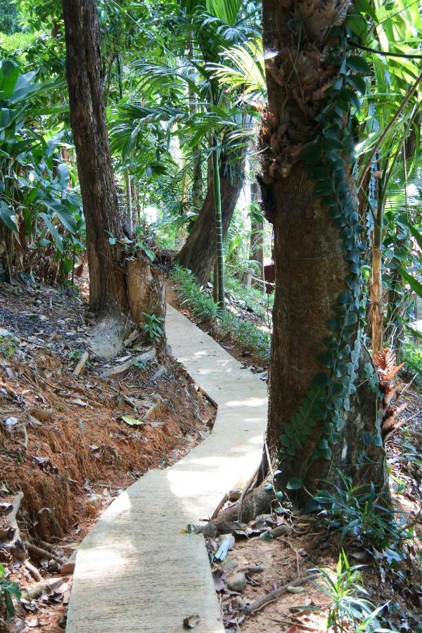 Lodge View Koh Chang Ranong