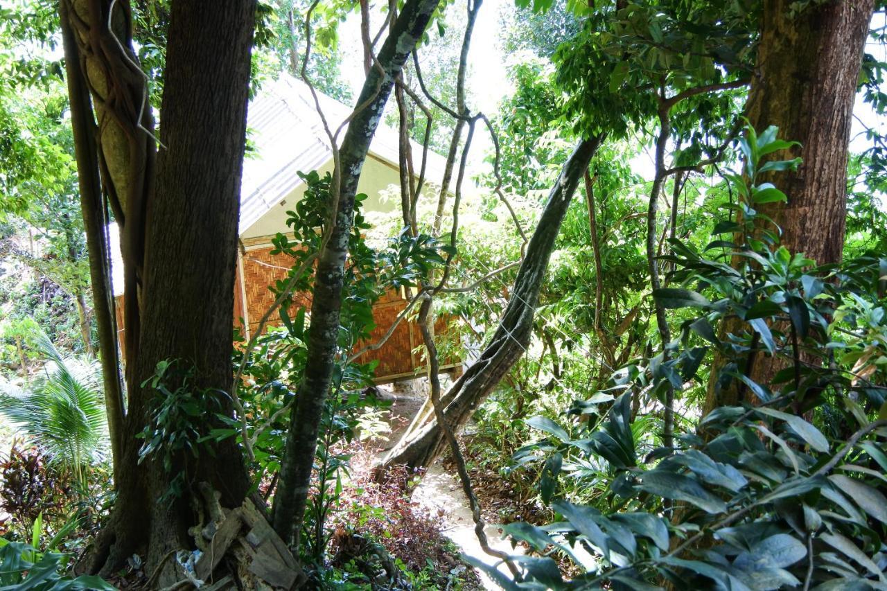 View Lodge
