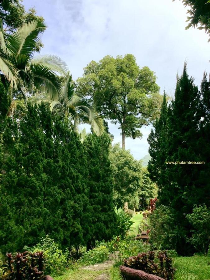 Phutarntree Resort