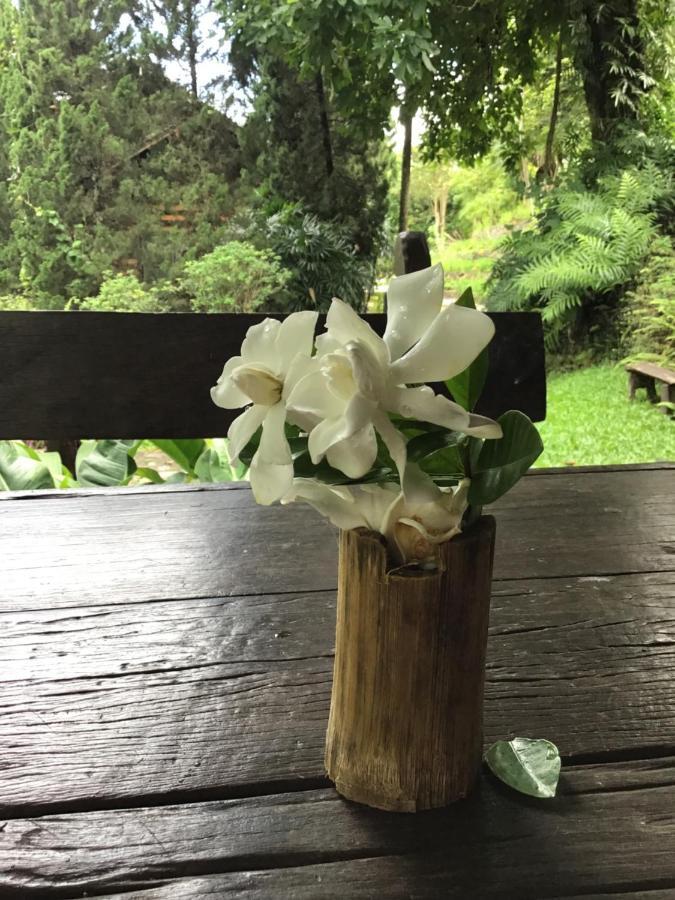 Phutarntree 3* Chiang Mai