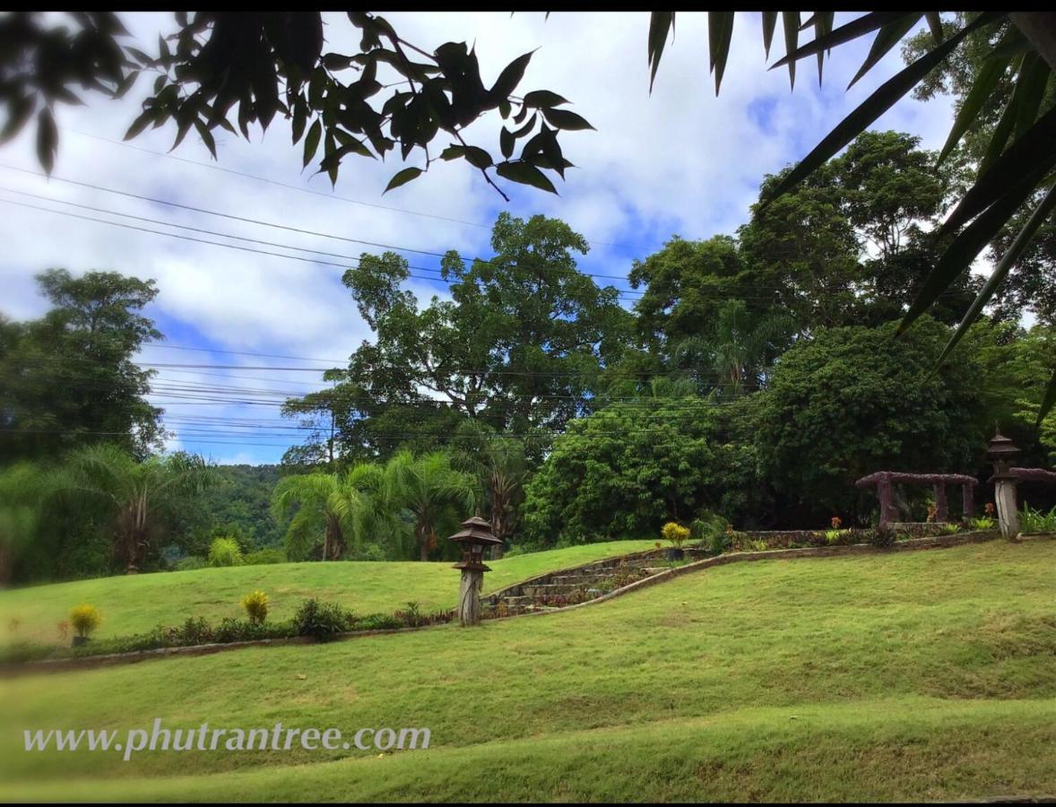 Phutarntree Chiang Mai