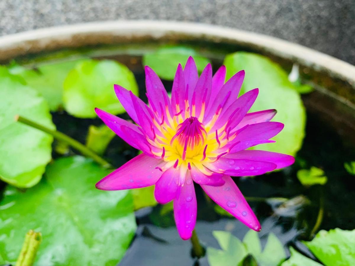 Mantra Varee Hotel Khon Kaen