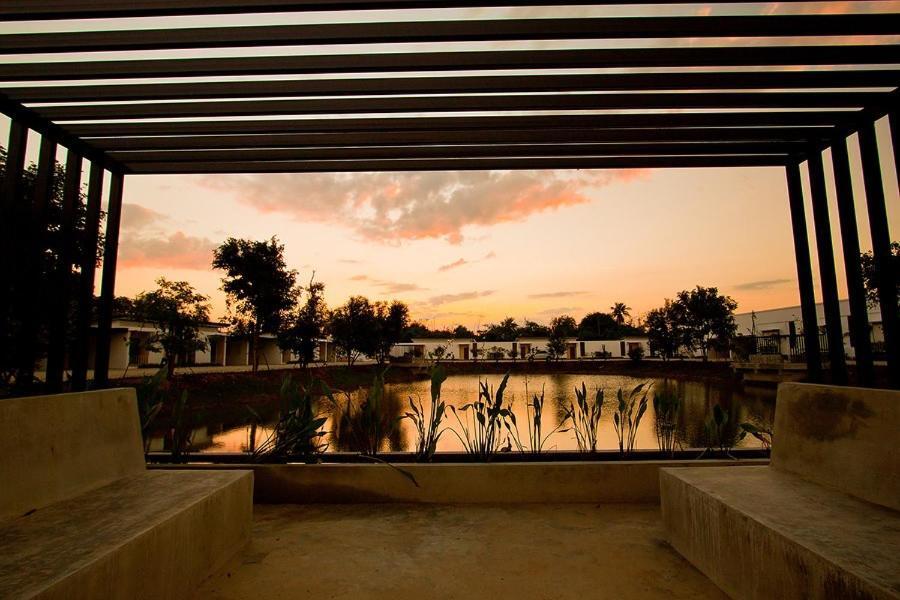The Vista Pool
