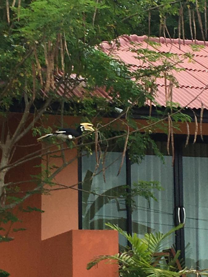 Resort Bannsuan Amaleena