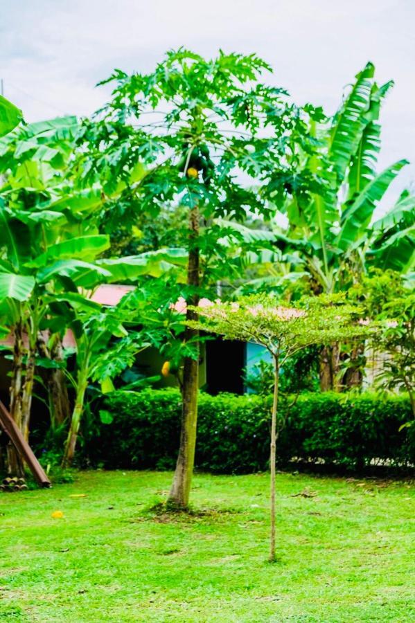 Bannsuan Amaleena Resort *