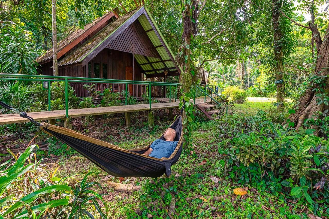 Khao Sok Riverside Lodge Khao Sok National Park