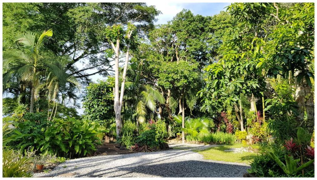 Baan Sakuna Resort Chiang Khong