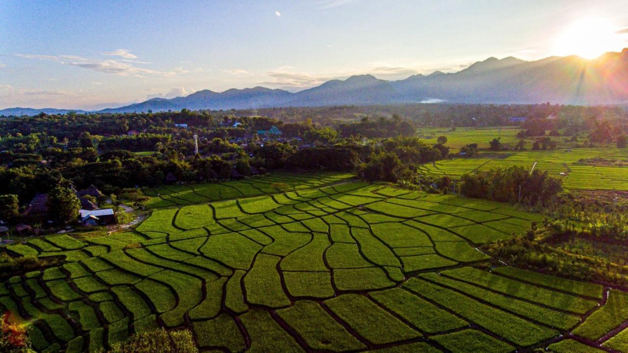 Phu Pai Art