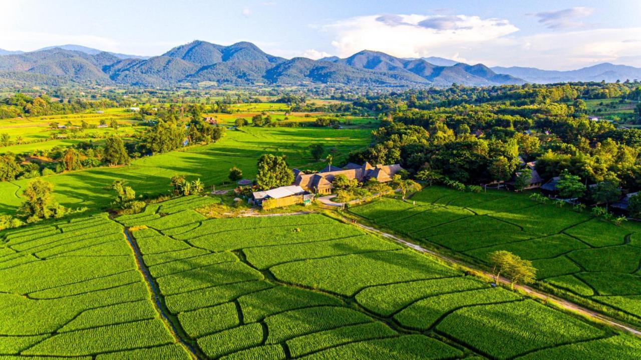 Phu Pai Art