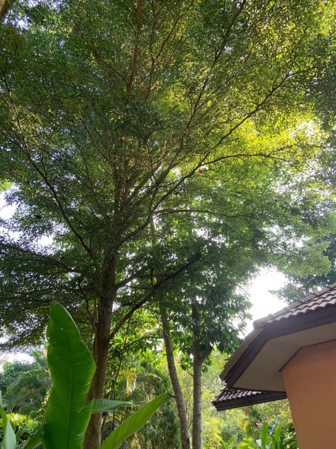 Khao Yai