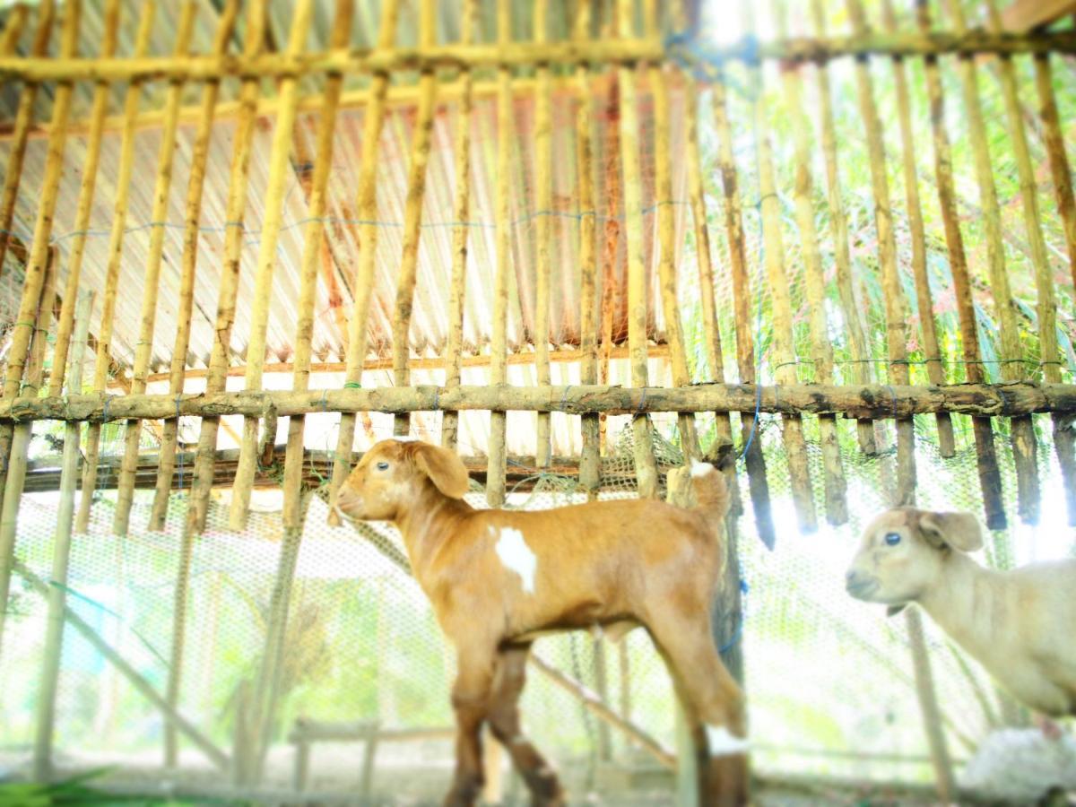 Resort Yaoisland And Farm Ko Yao Yai