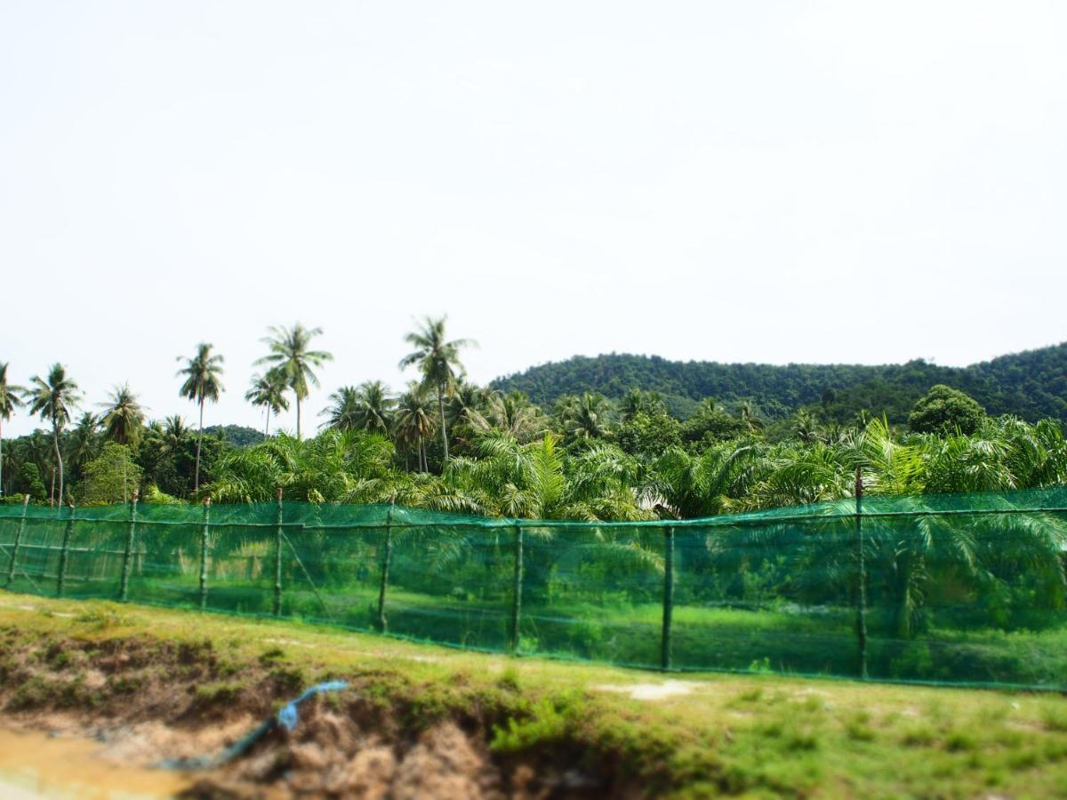 Yaoisland And Farm Resort