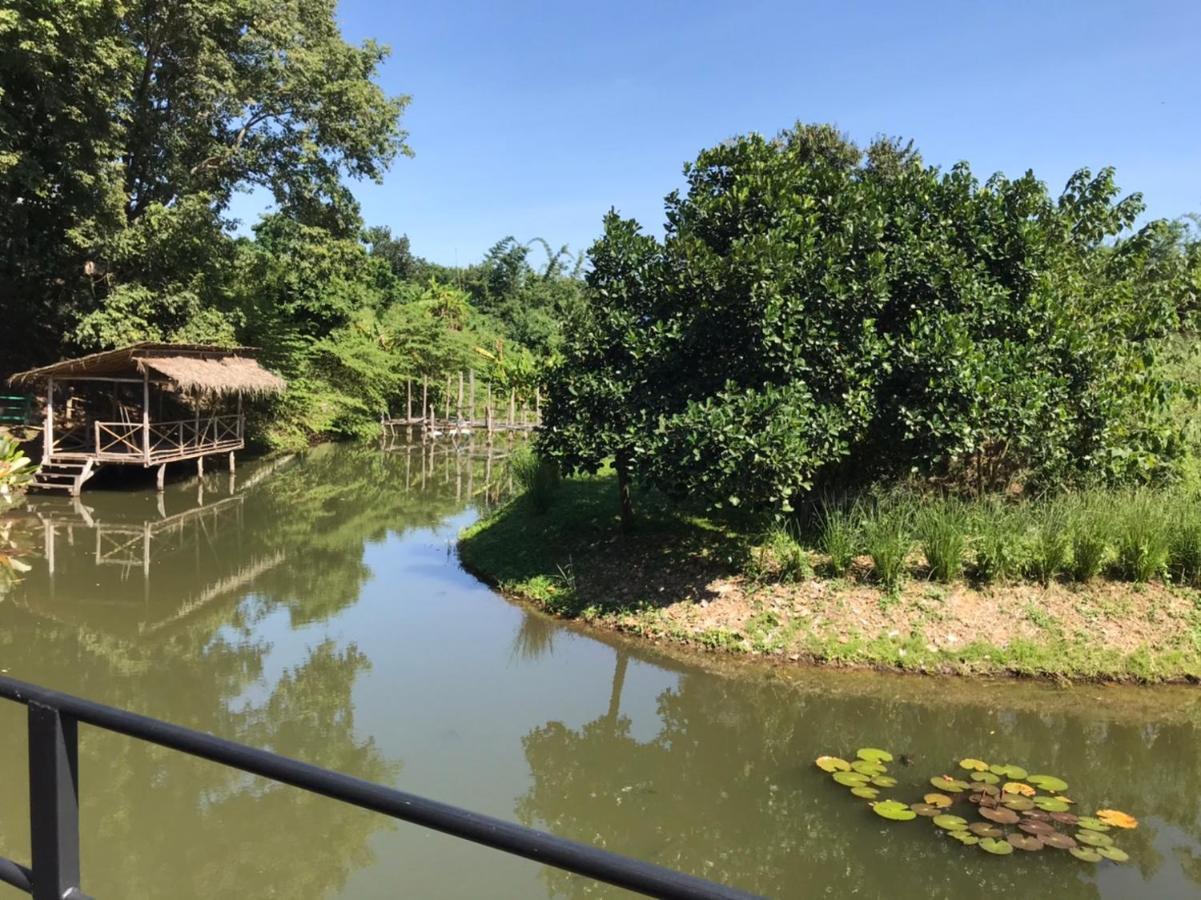 Homestay Dreamhome Chiangdao Chiang Dao