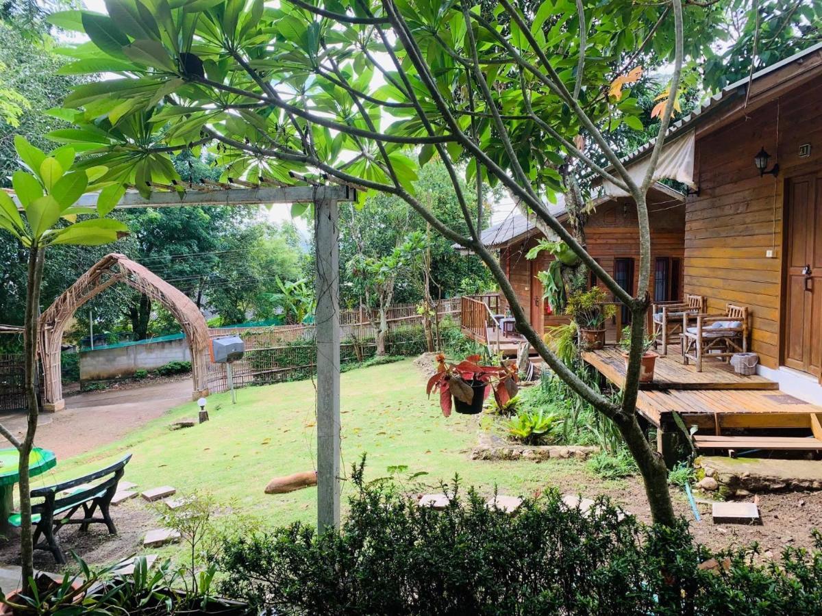 Yard Guest house