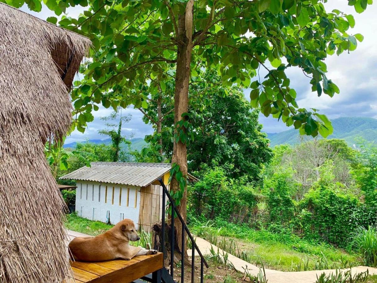 Guest house Yard Pai