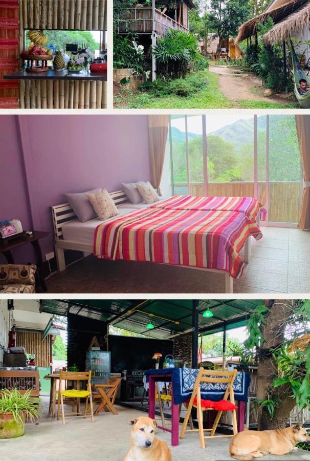 Guest house Yard *