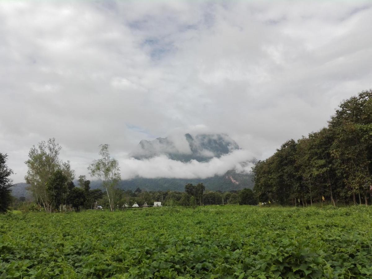 Dreamhome Chiangdao Homestay *