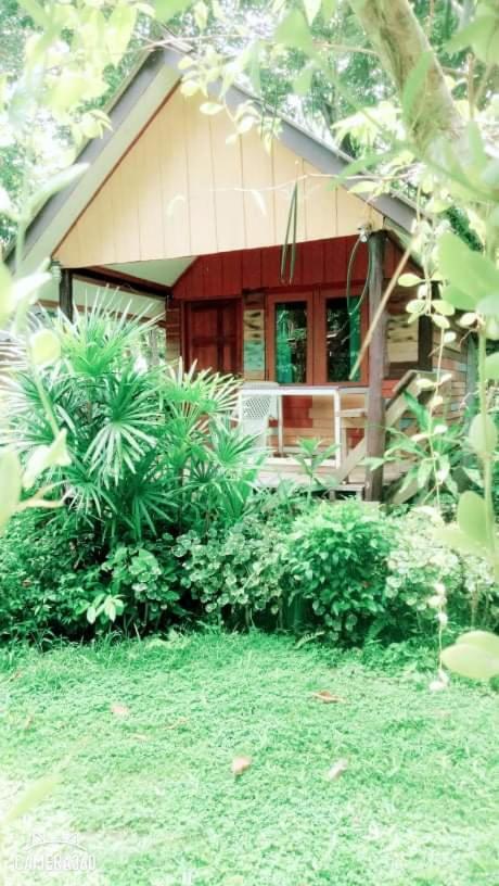 Mayow Kohmook Trang