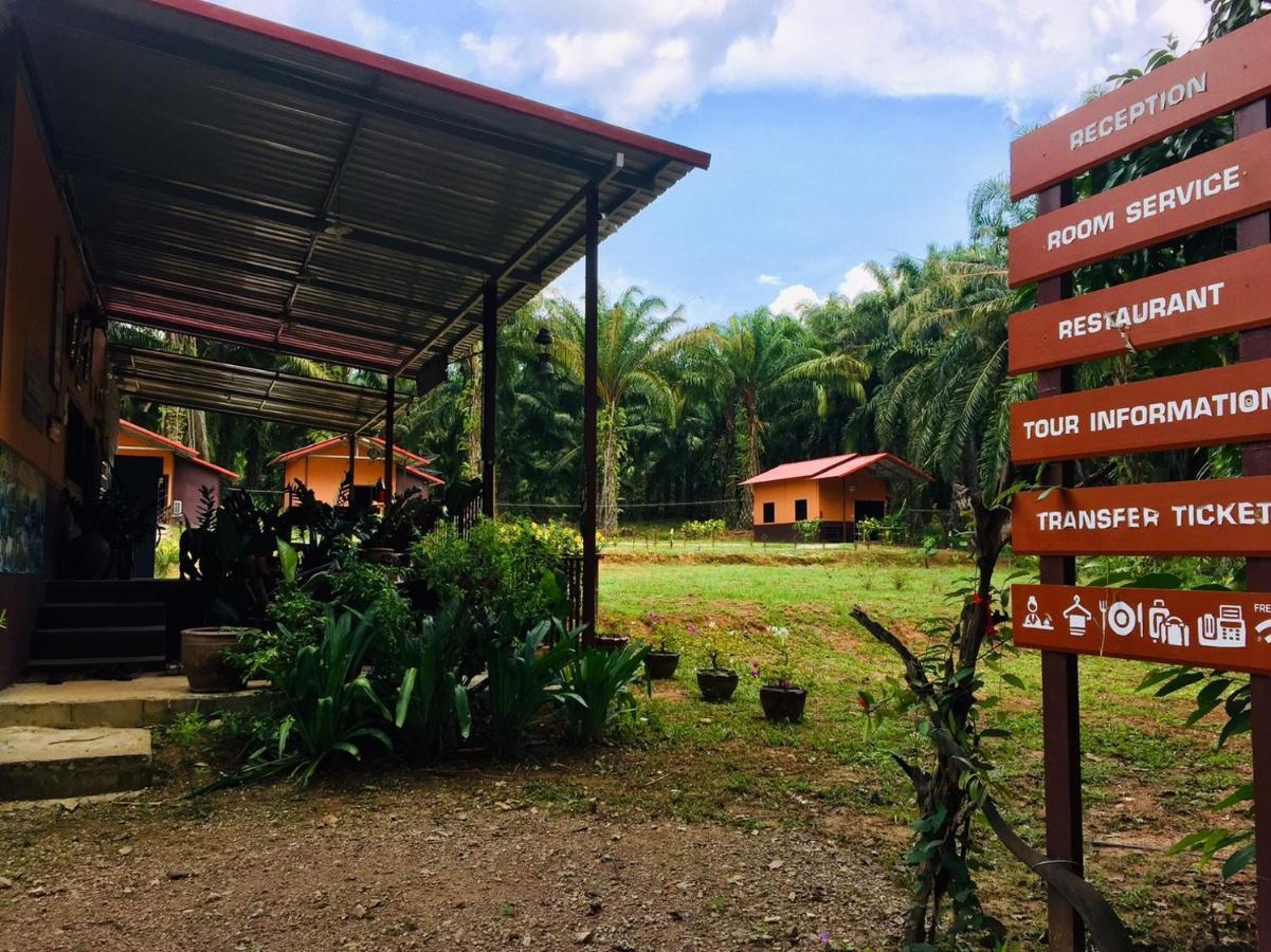 Khao Sok Evergreen House Holiday park Khao Sok National Park