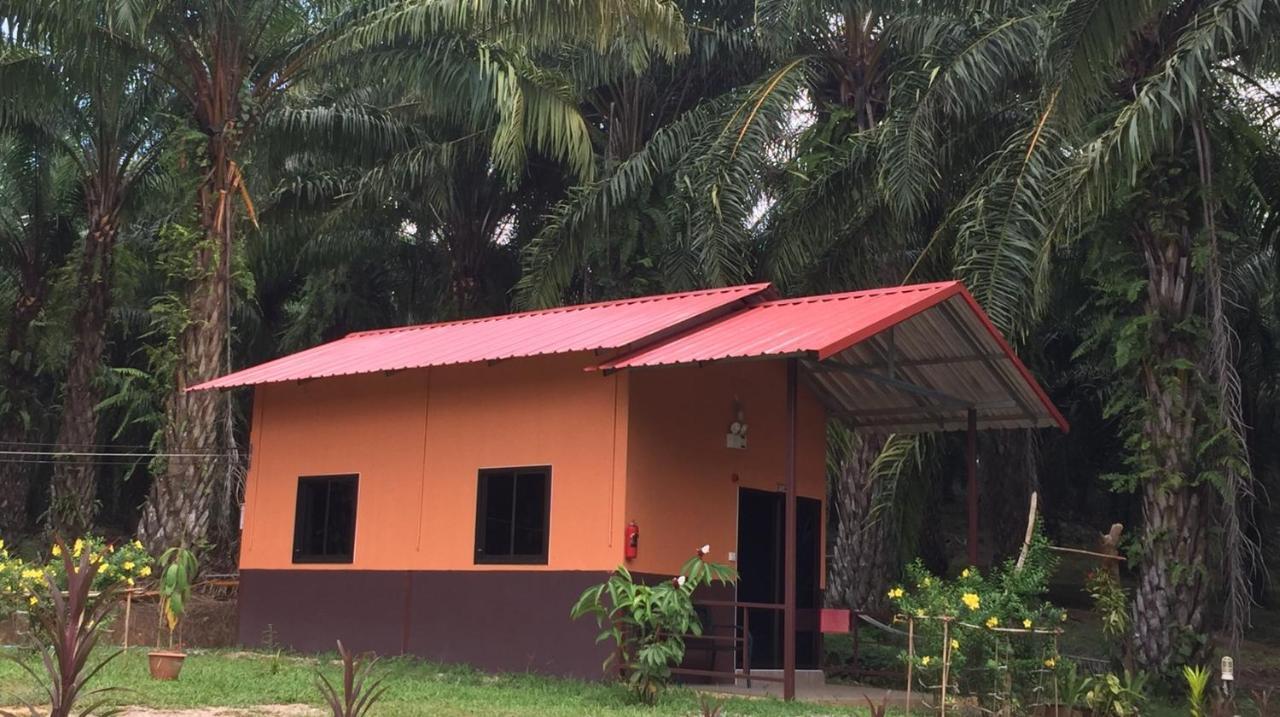 Khao Sok Evergreen House Holiday park