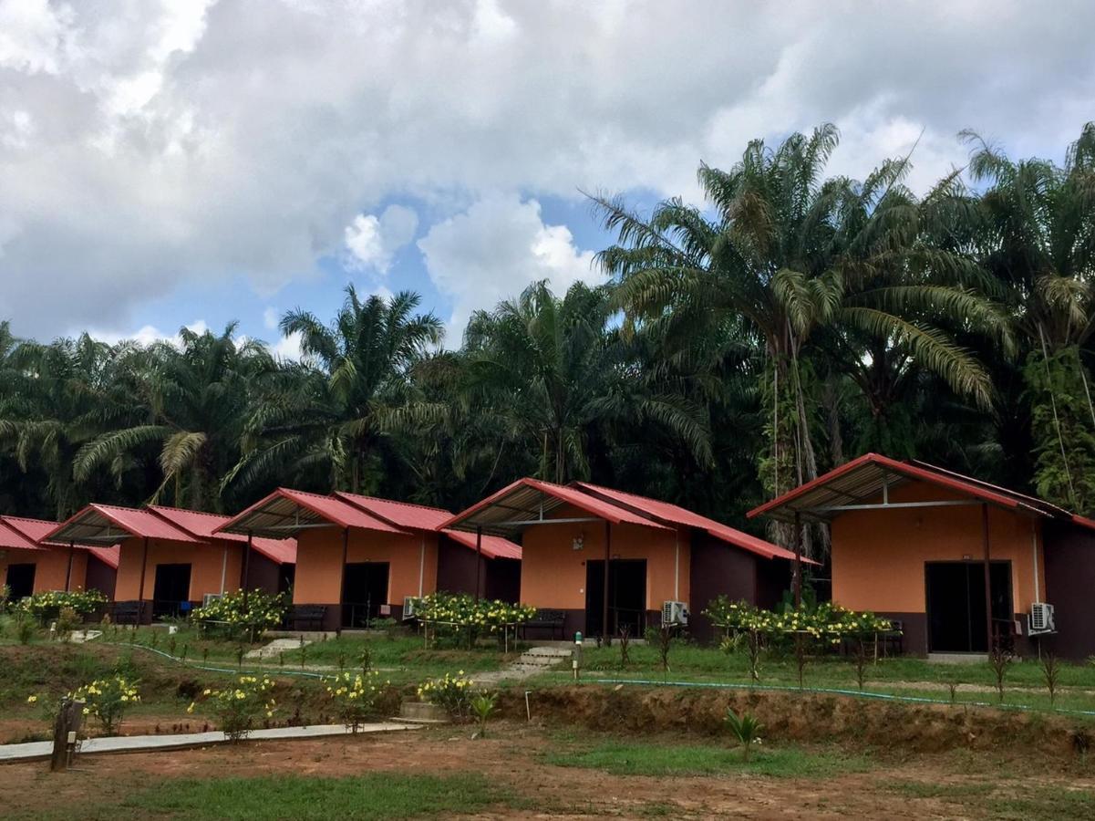 Khao Sok Evergreen House Holiday park