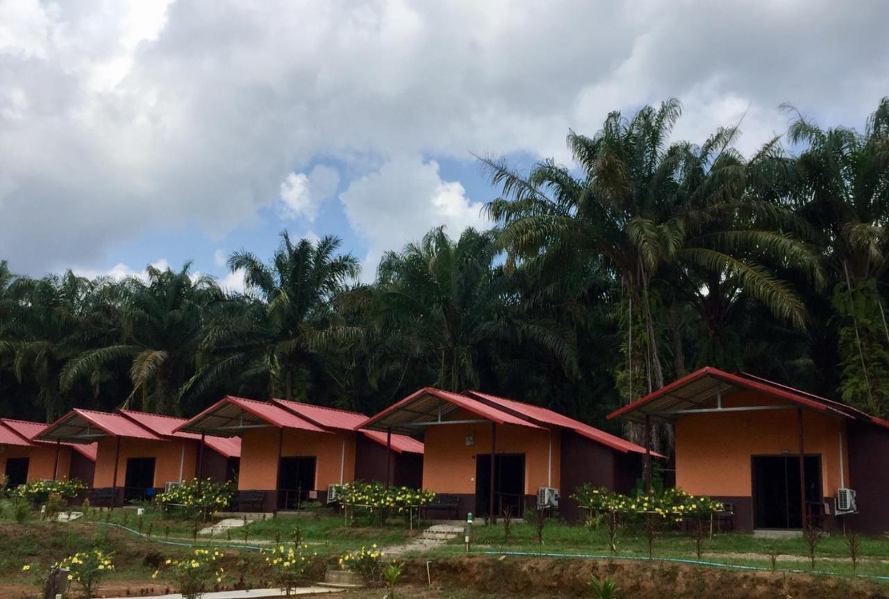 Khao Sok Evergreen House Holiday park Khao Sok National Park