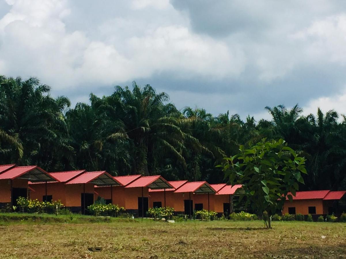 Khao Sok Evergreen House Holiday park *