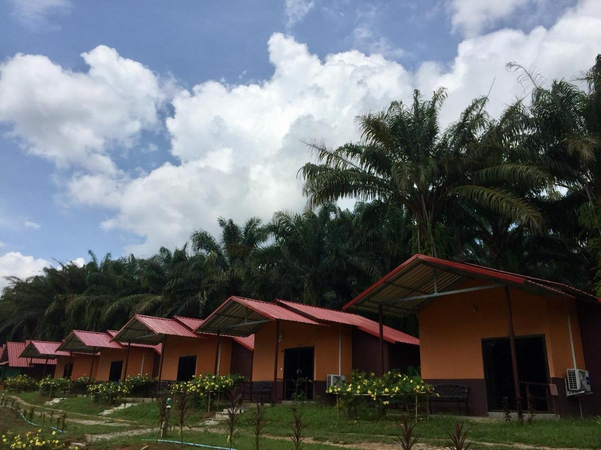 Khao Sok Evergreen House Holiday park