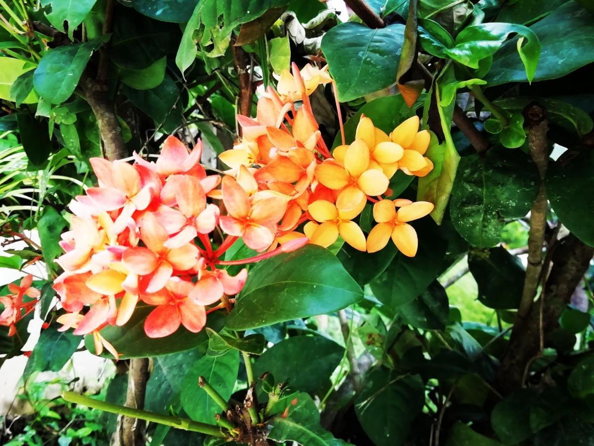 Baan Kawkaew Kata Karon