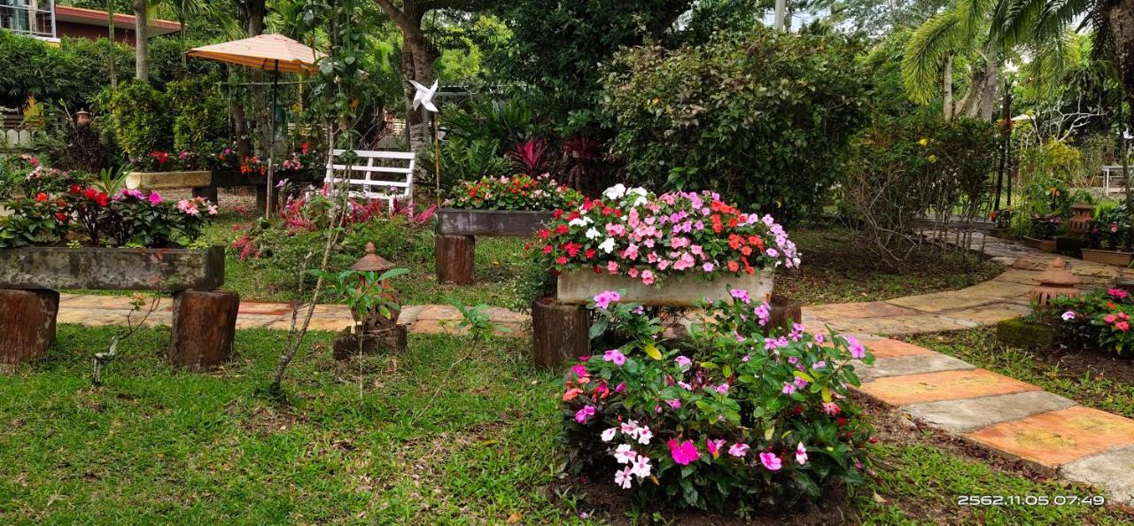 Maesai Doi View Chalet