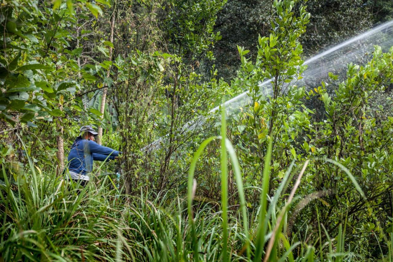 Khaokhoherbary Organicfarm&resort Resort Khao Kho