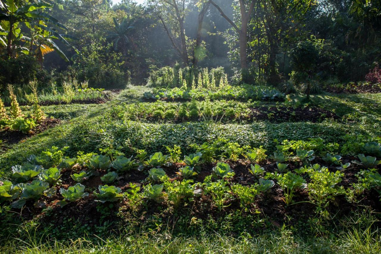 Khaokhoherbary Organicfarm&resort * Khao Kho