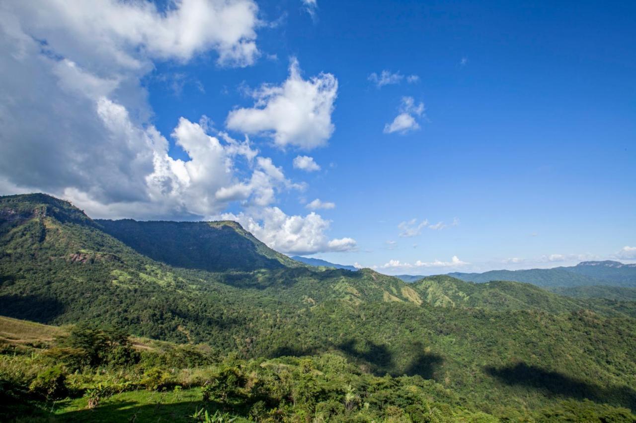 Resort Khaokhoherbary Organicfarm&resort