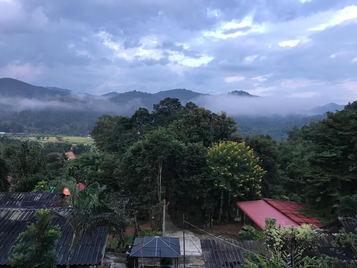 Forest 2* Samoeng