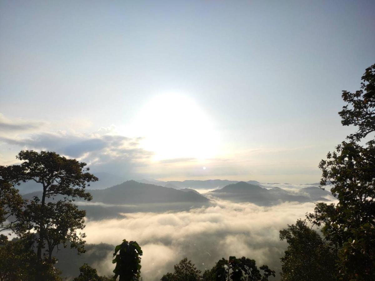 Forest 2* Samoeng
