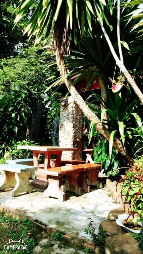 Mayow Kohmook Trang