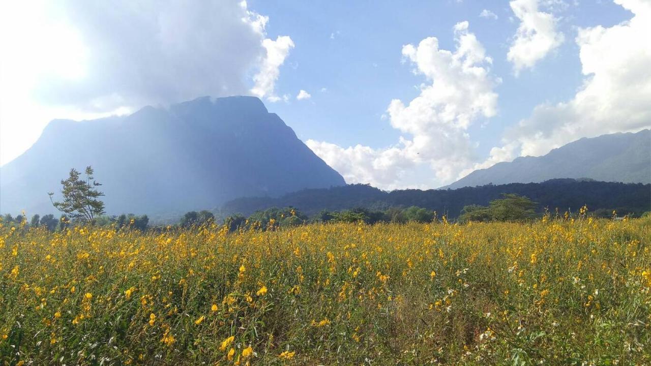 Holiday park Ban Thung Talay Mok Chiangdao Chiang Dao